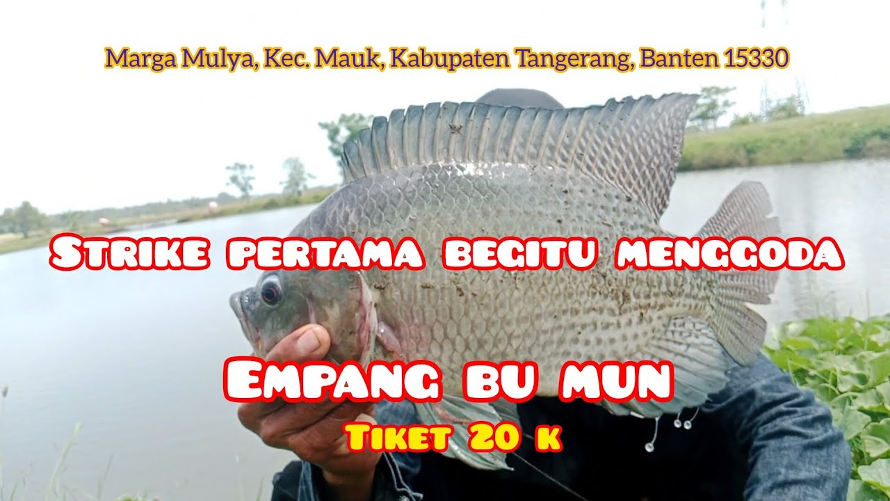 Perdana nyoba empang bu mun 