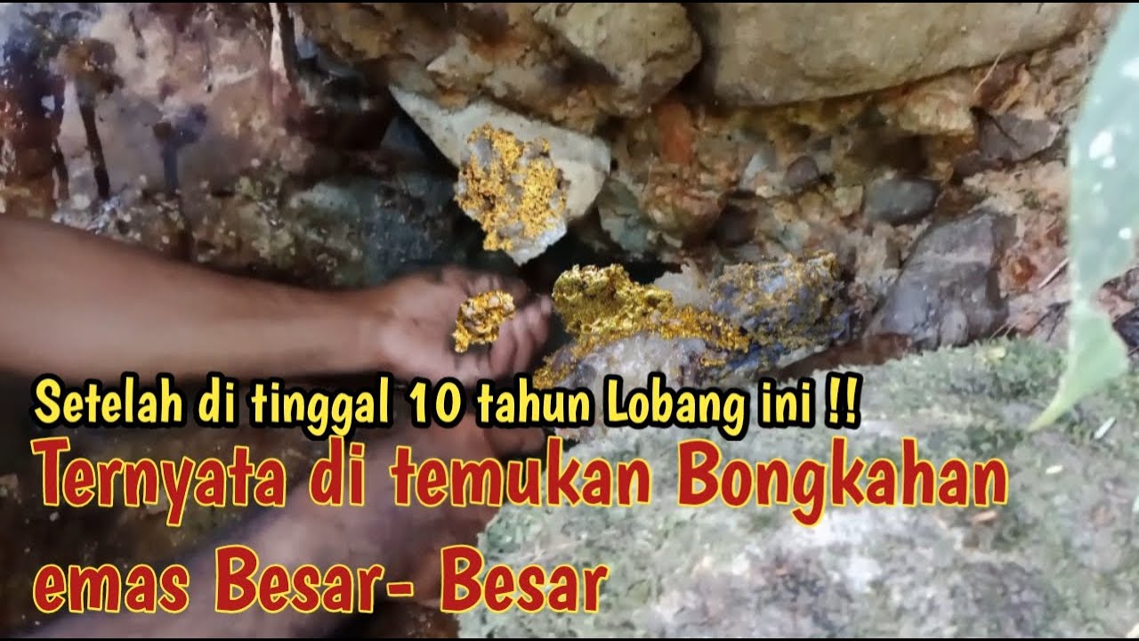 *Jenis batuan yang ada emas nya || ciri-ciri batuan yang mengandung emas.