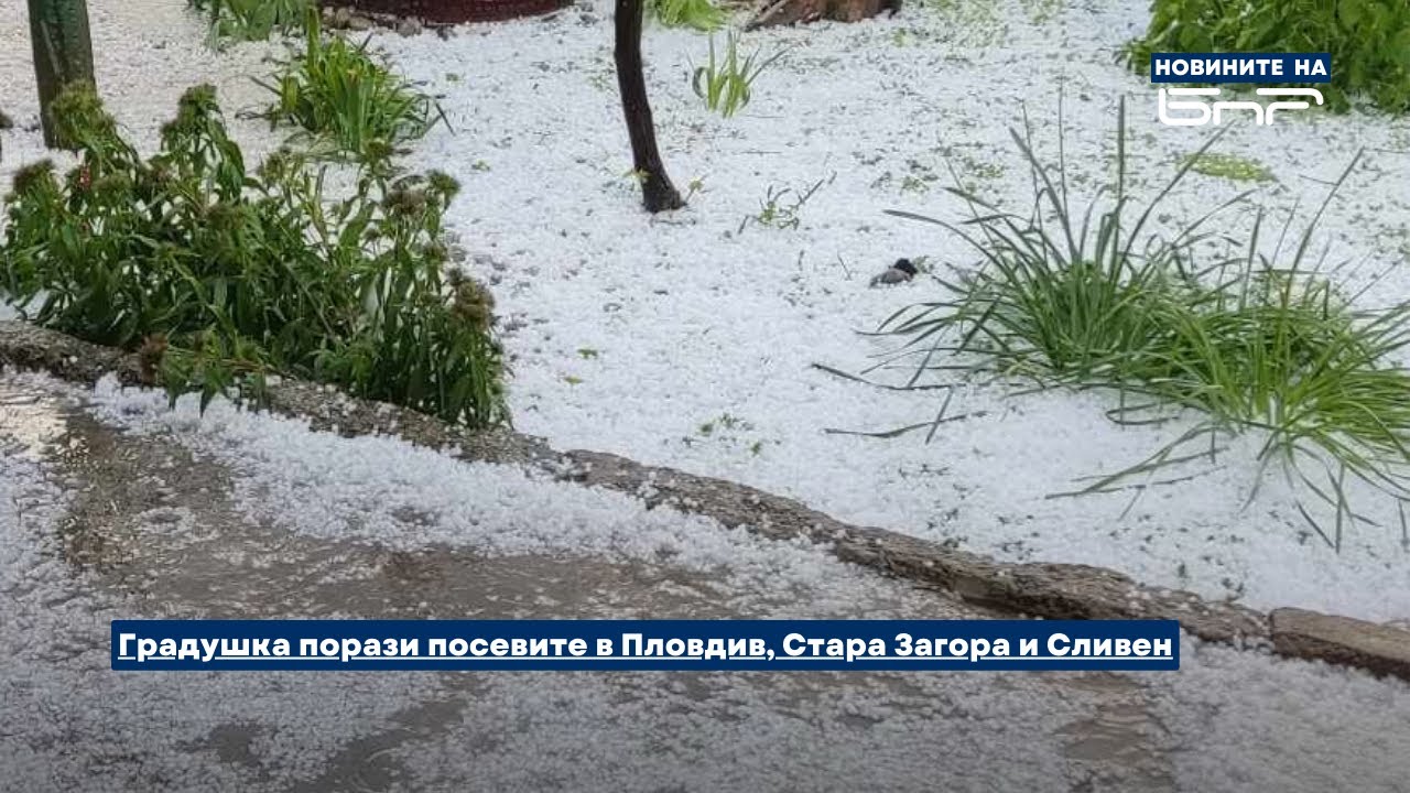 Градушка порази посевите в Пловдив, Стара Загора и Сливен | Новините на БНР