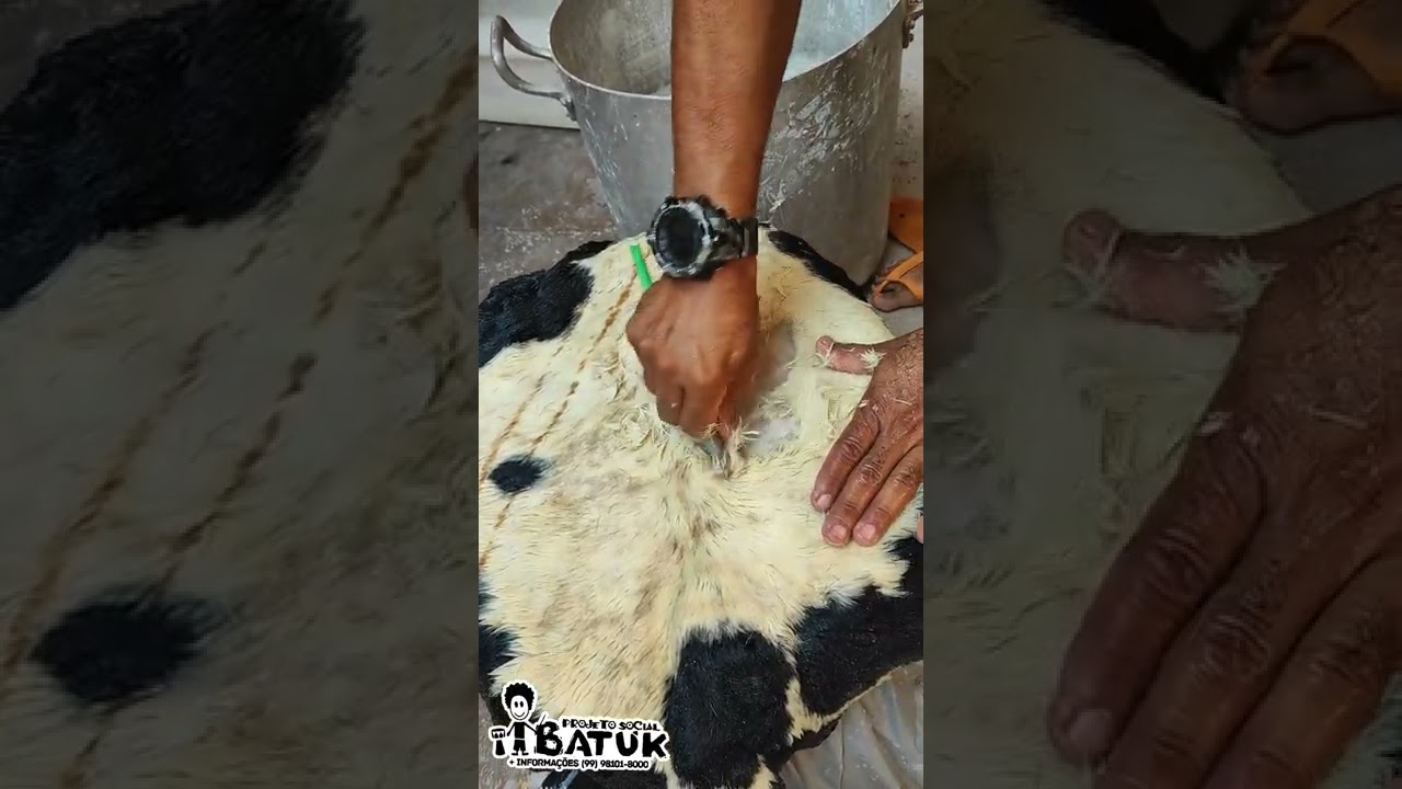 como retirar o pelo do couro de cabra