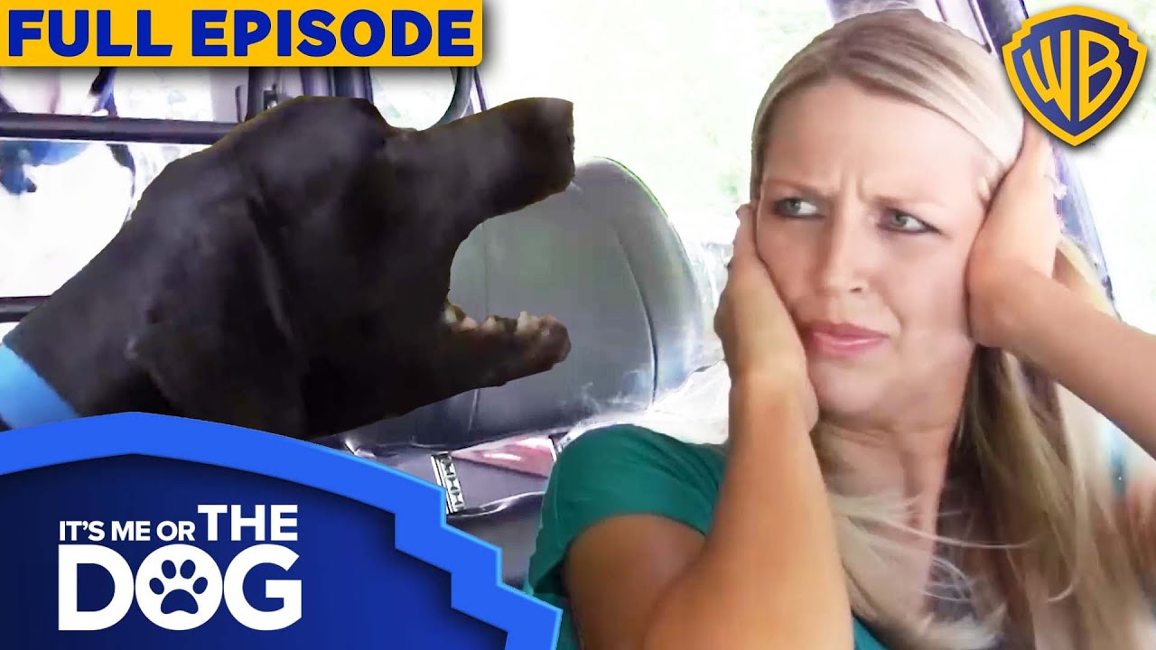 It's Me or The Dog USA | Episode 7 | Warner Bros. TV