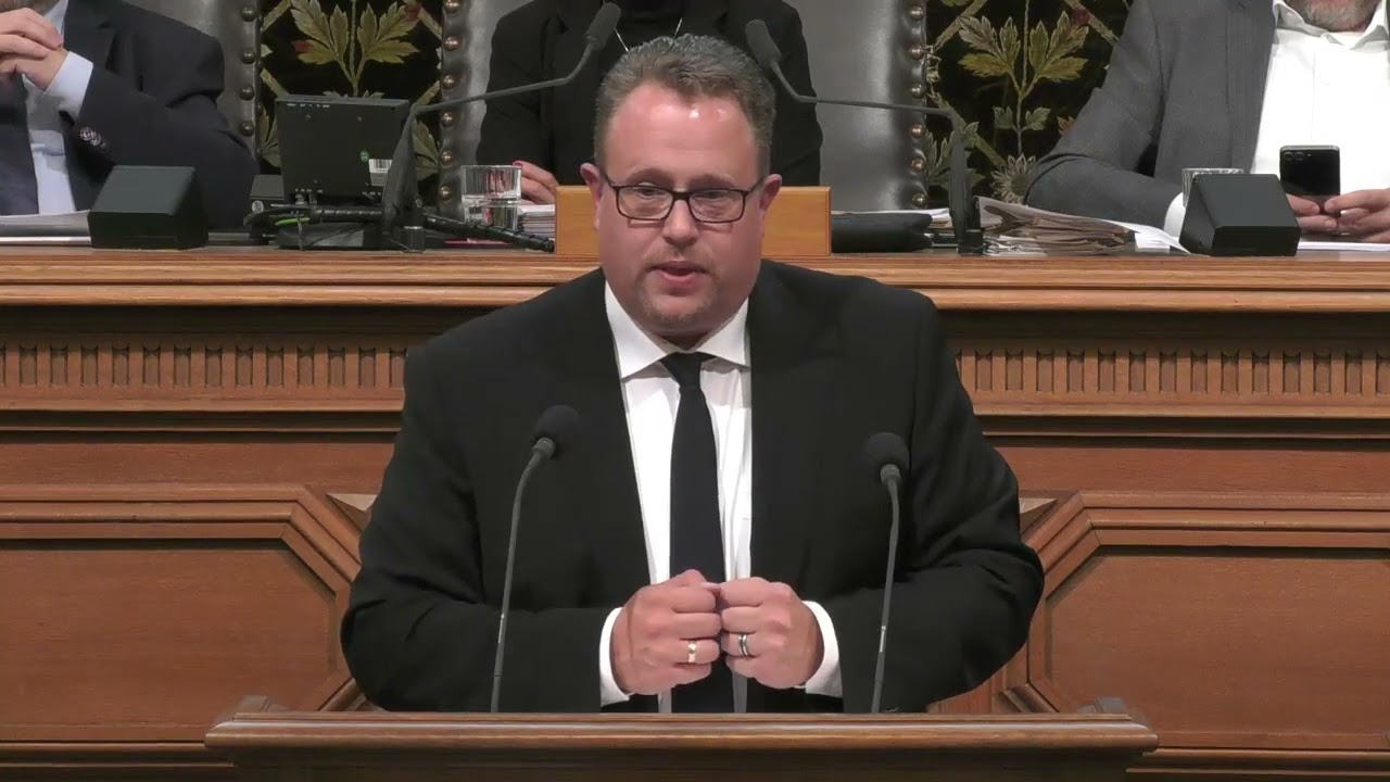 NEIN zum Zukunftsentscheid in Hamburg! Dennis Gladiator (CDU)
