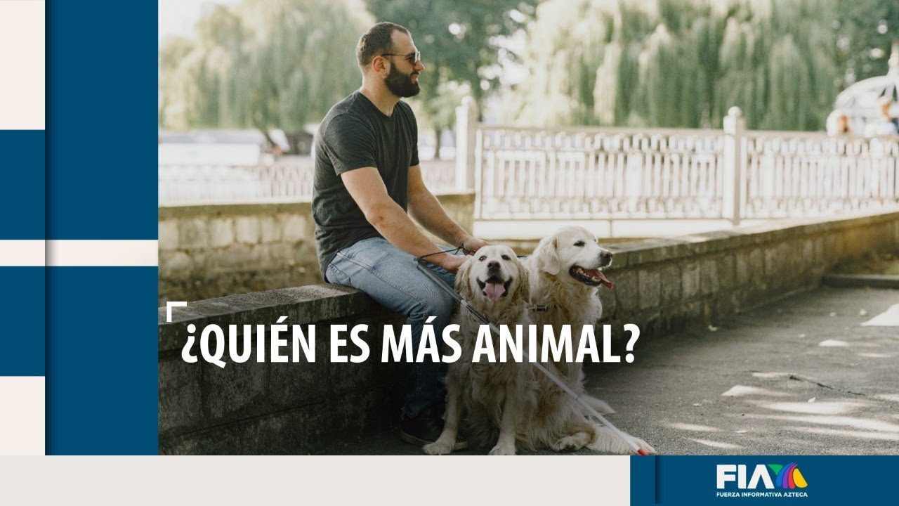 #DerROCHAndoLaNeta | Trabajadores del Metro en la CDMX se pasaron de ciegos con estos perros guía