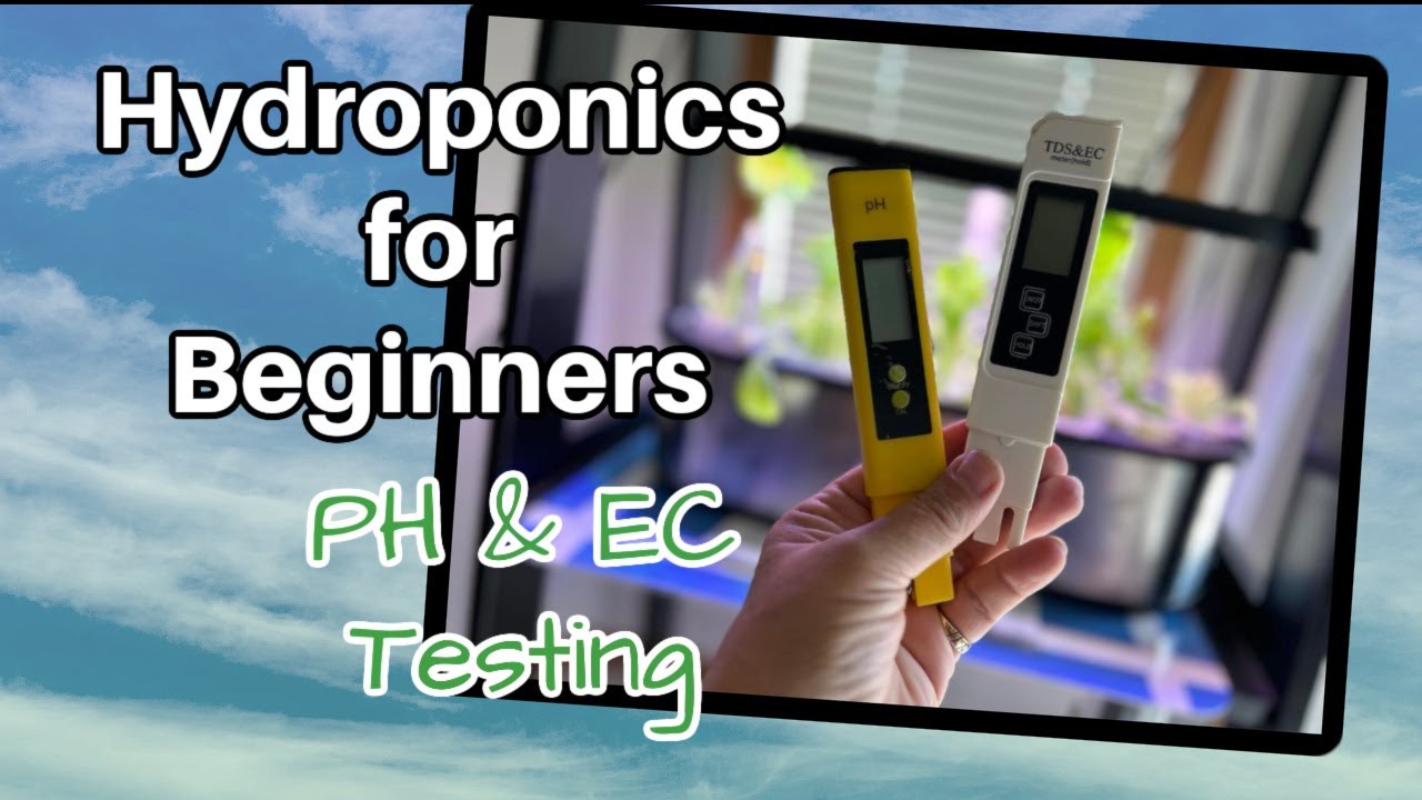 Easy Hydroponics for Beginners  - Testing and Adjusting PH & EC Levels in Let Pot System