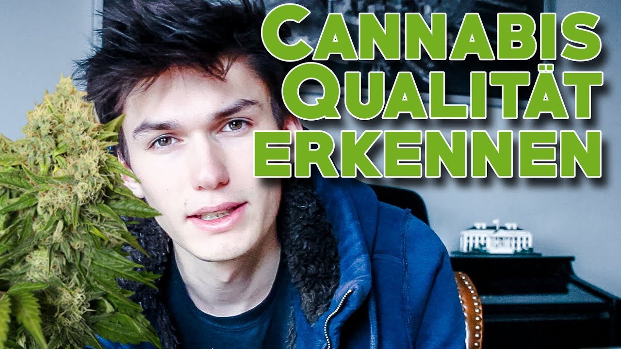 CANNABIS QUALIT&Auml;T einfach erkennen