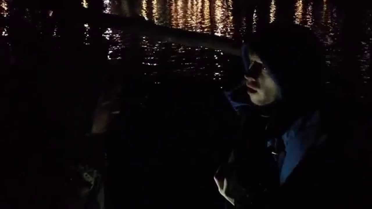 Be Forest | Captured Heart (Foxhound minicover)