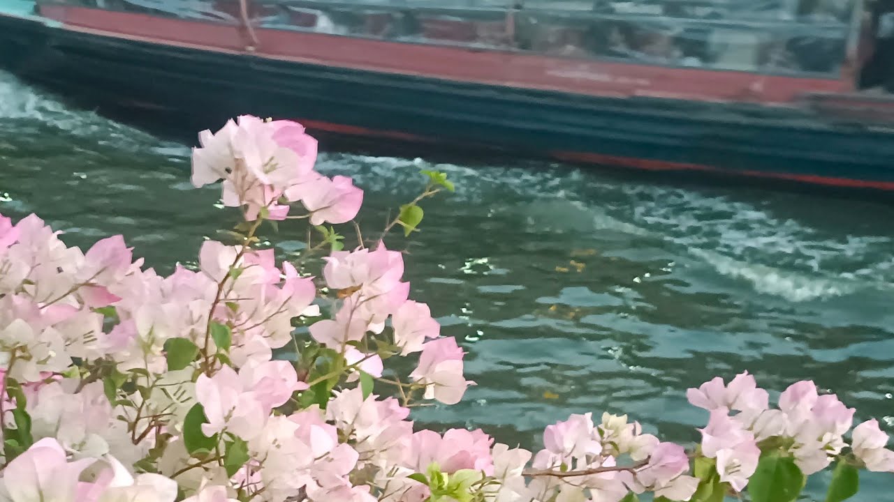 ชมเรือแบบติดขอบ#ทักทายคุยกันยามเย็น#ชมวิวสวยๆ#Youtube