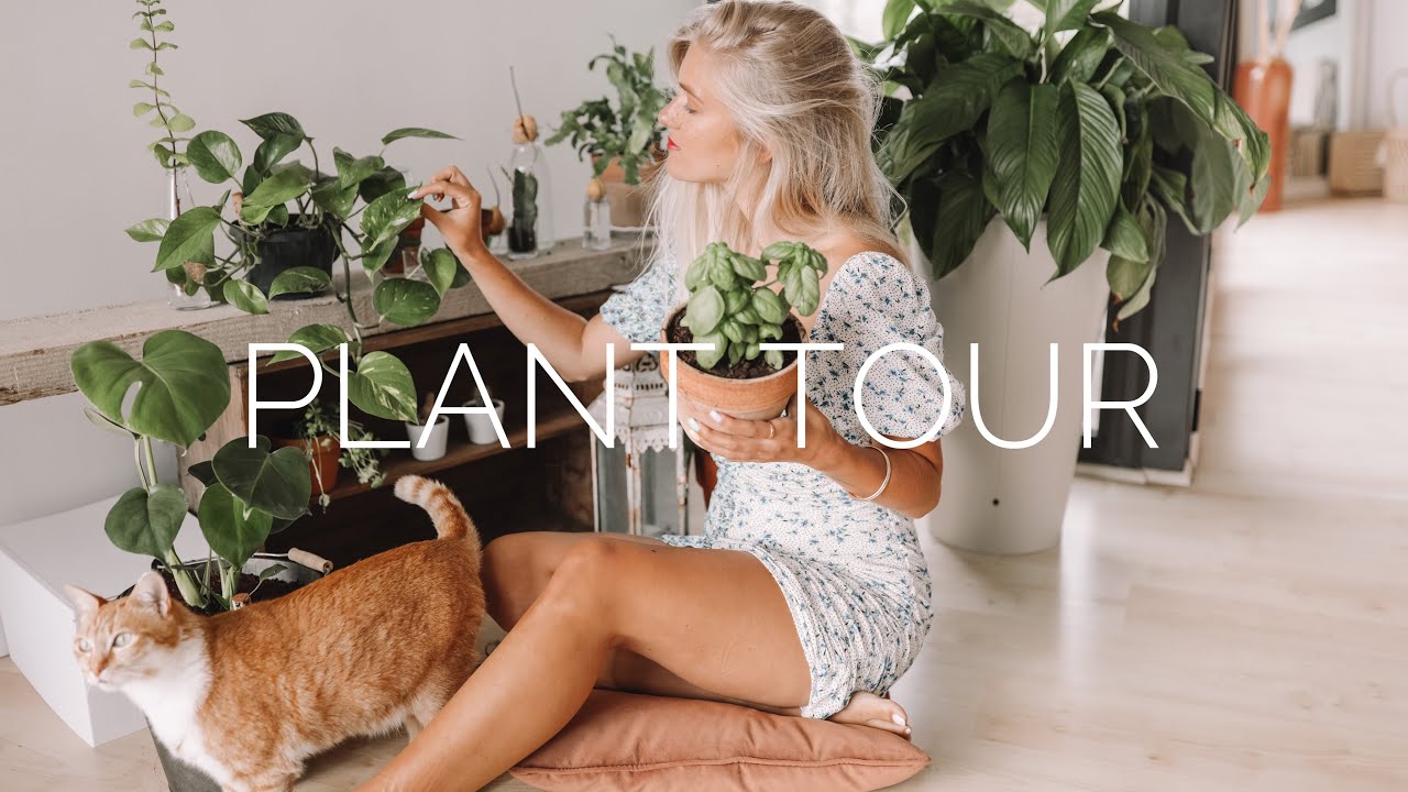 PLANT TOUR 🌱TOUTES MES PLANTES EN POT