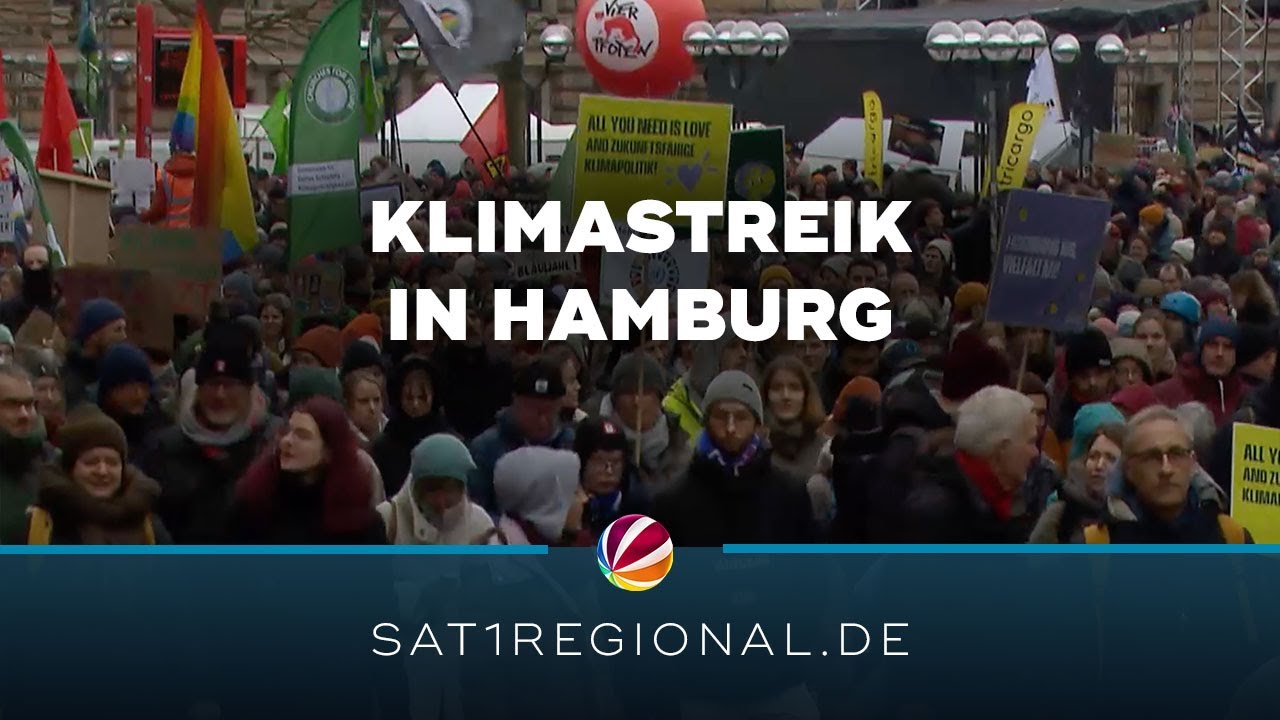 Rund 7.500 Demonstrierende bei Klimastreik in Hamburg