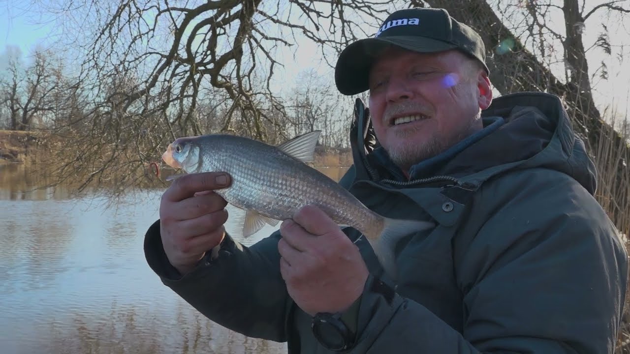 Žiemos žiobriai. TV