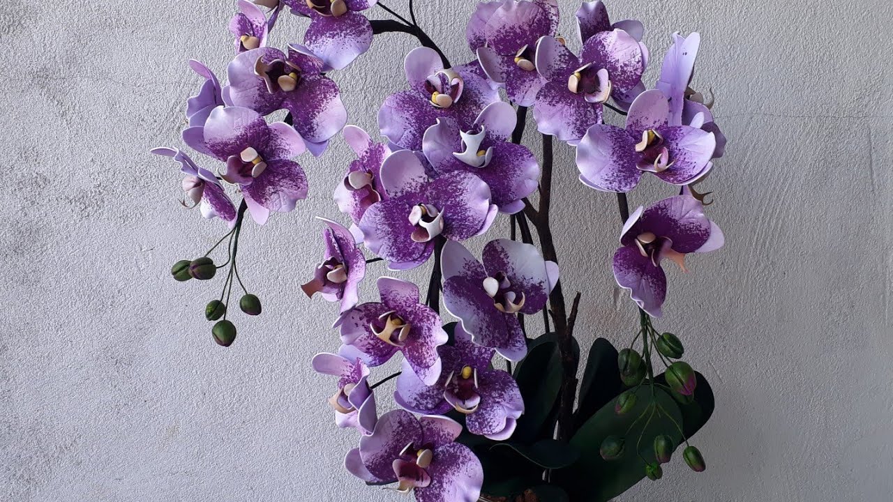 Orquideas phalaenopsis em e.v.a sem frisadores!!