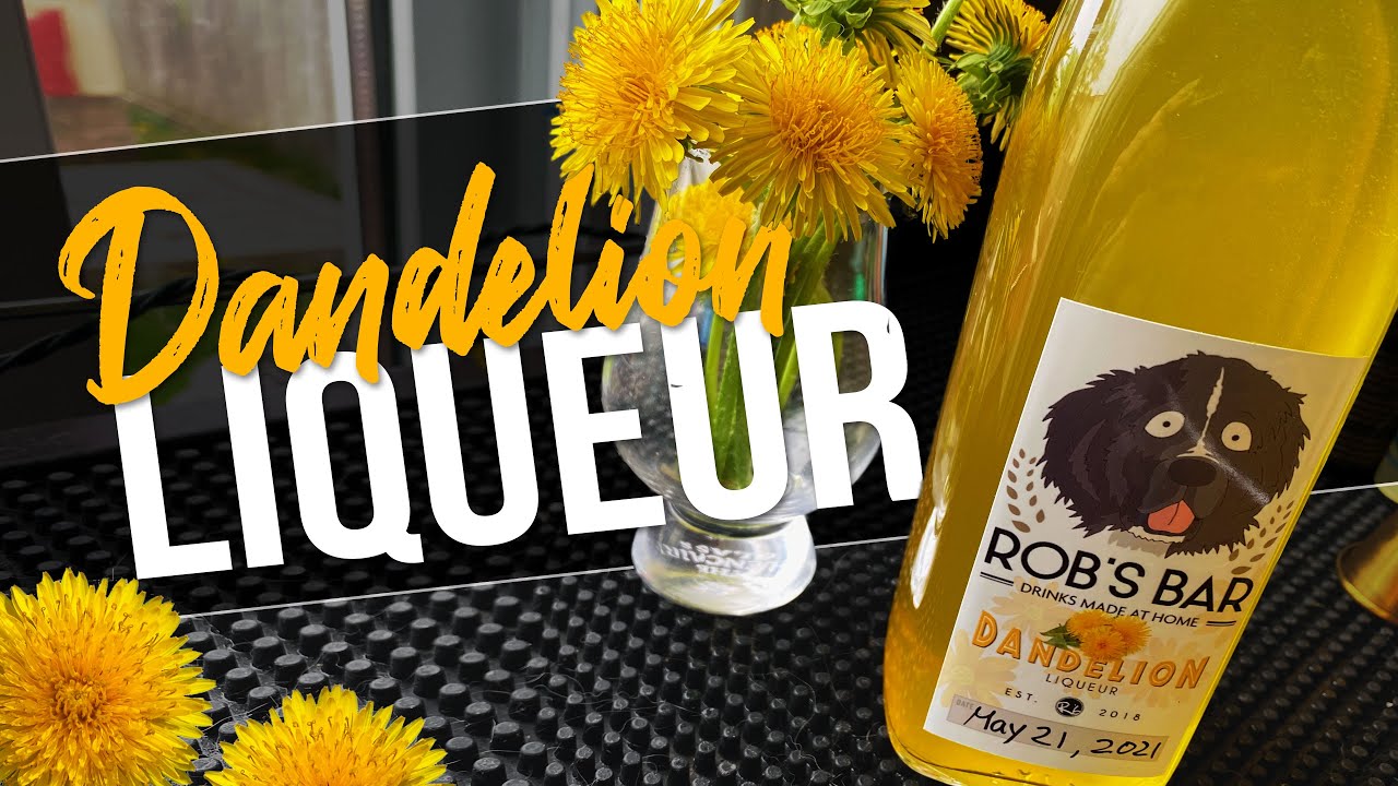 Homemade Dandelion Liqueur & Cocktail | #FlowerPower2021