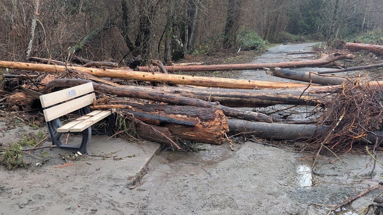 Vedder Rotary Trail flood damage
