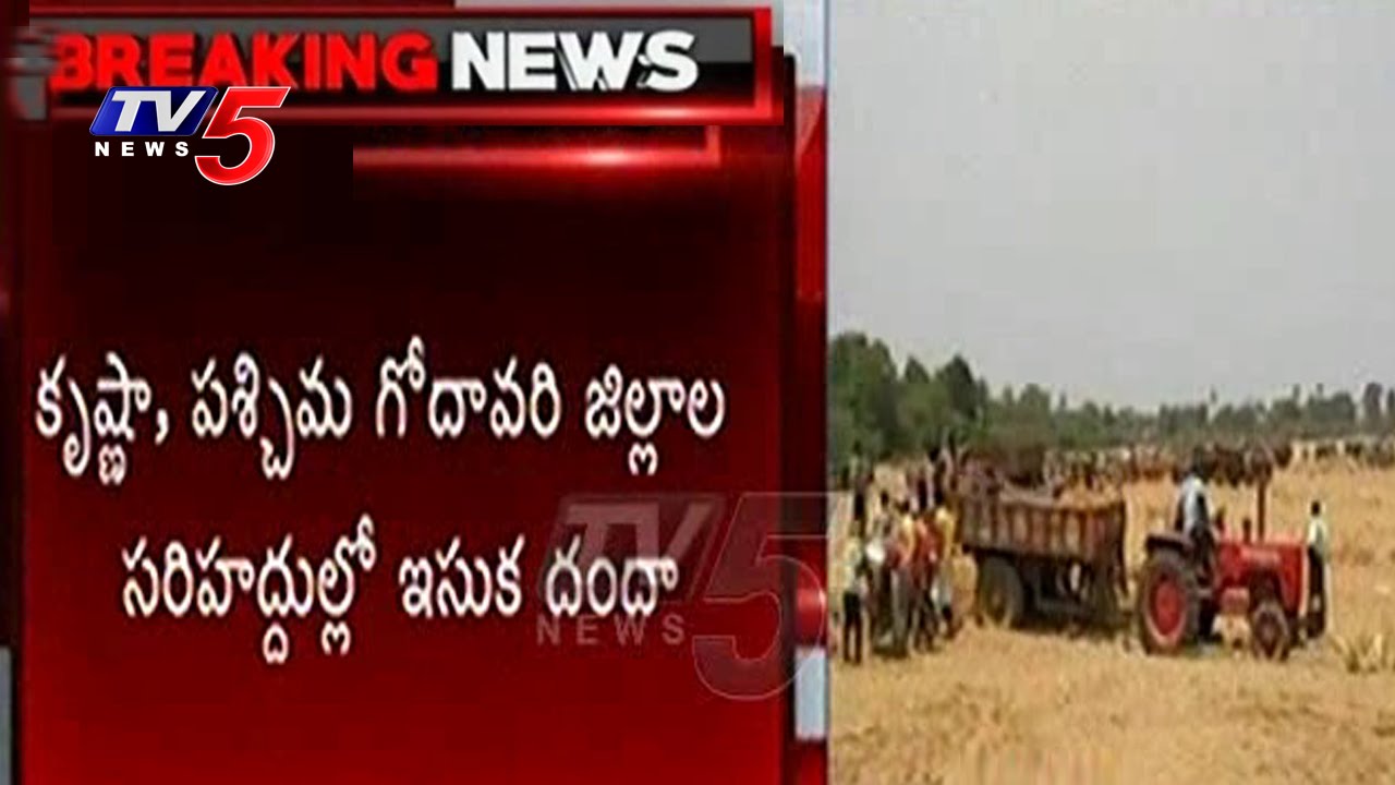 Sand Mafia | Illegal Sand Excavations at Tammileru | Free Sand Policy | Andhra Pradesh | TV5 News