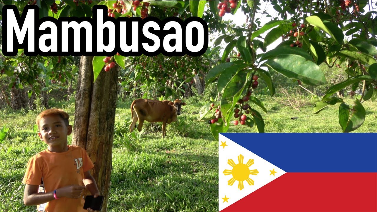 TRIP to MAMBUSAO [CAPIZ] (TRAVELS in PHILIPPINES Pt. 10) 🇵🇭