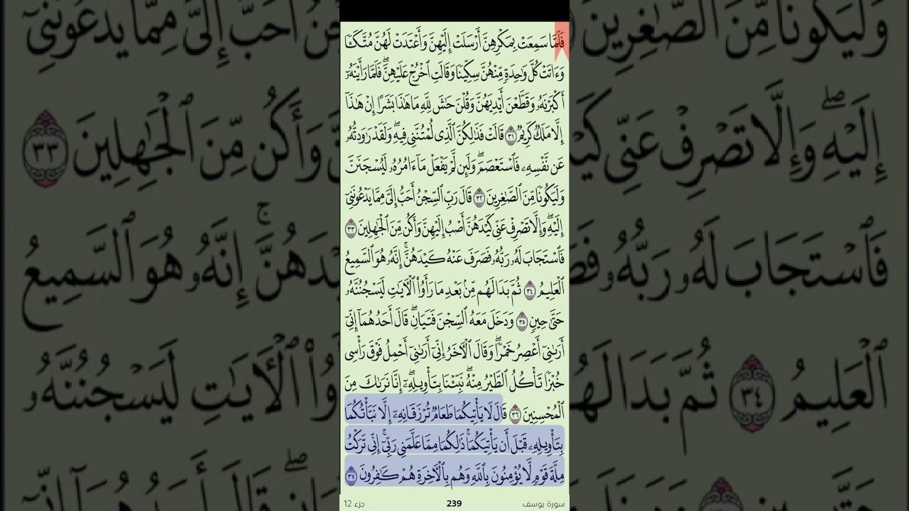 سورة يوسف كاملة | قصة الصبر والإيمان بصوت الشيخ ناصر القطامي ❤️ | تلاوة تخش القلب