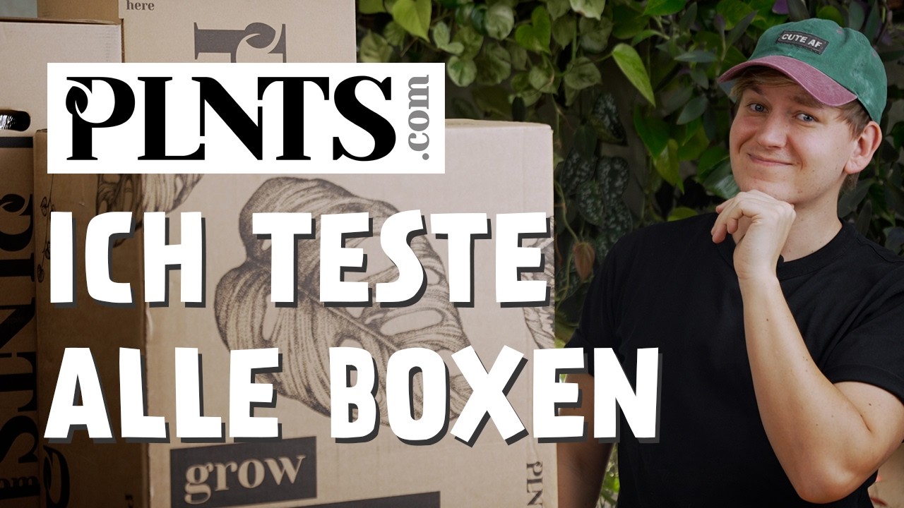 ALLE Sustainability Boxen von PLNTS im Test 🤯 Lohnt sich diese Mystery Box? 🤔 (S, M, L & XL)