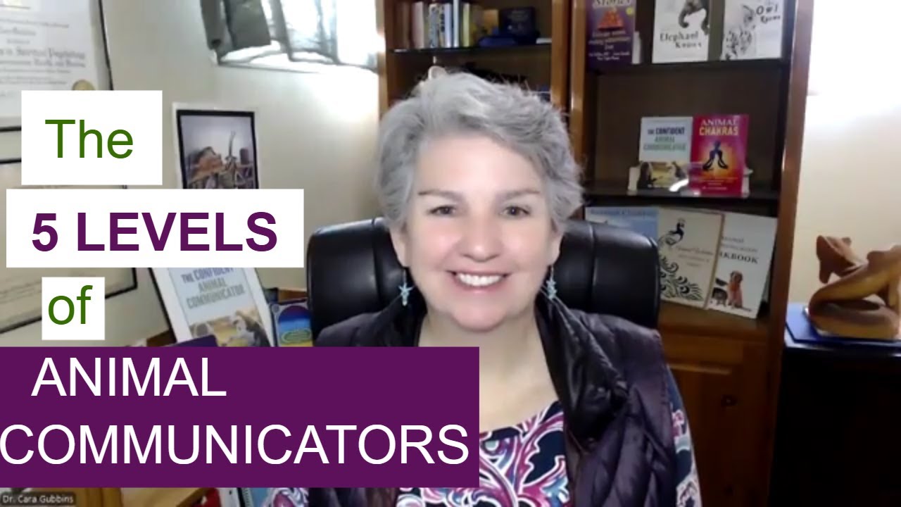 Animal Communicator Roadmap - The 5 Levels of Animal Communicators