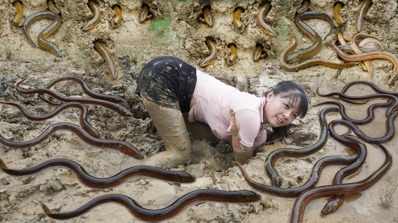 REWIND TIMELAPSE --660 Days Catching A Lot Of Fish, Eels, Mussel, Frogs.../Phương's Story