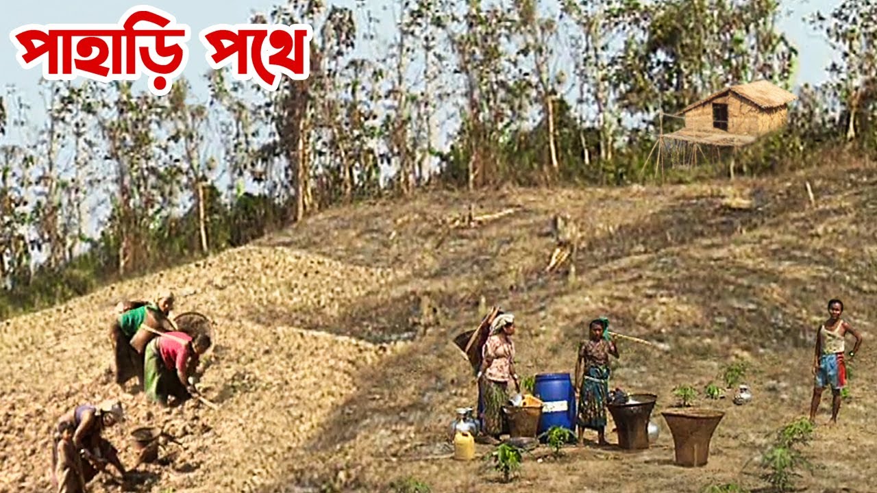 বান্দরবানের পাহাড়ি পথে  (২০০৮) | TRAVEL HILLY BANDARBAN | Panorama Documentary