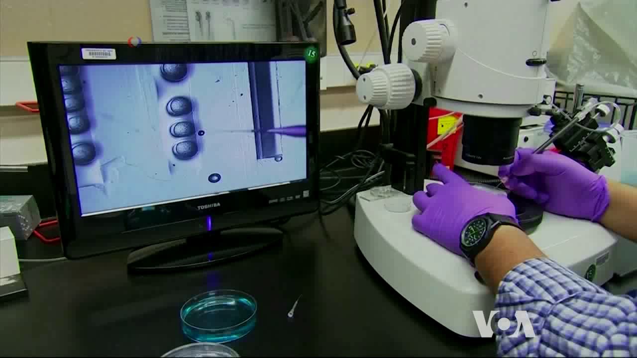 Embryo Gene Editing is Still a Long Way Off