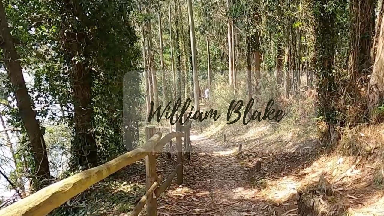 WILLIAM BLAKE - Imaginación