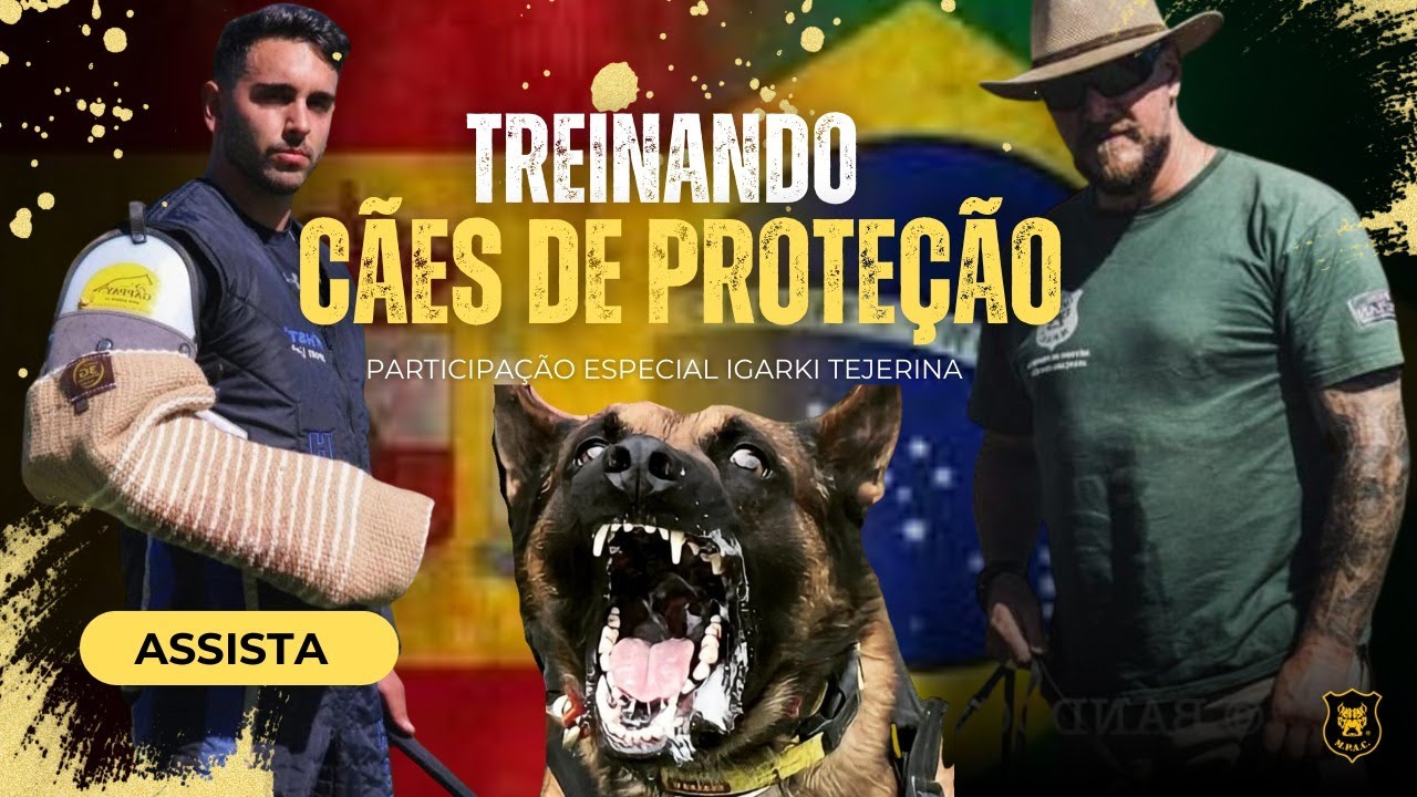Treinando cães de proteção - Gustavo Fleury - Igarki Tejerina