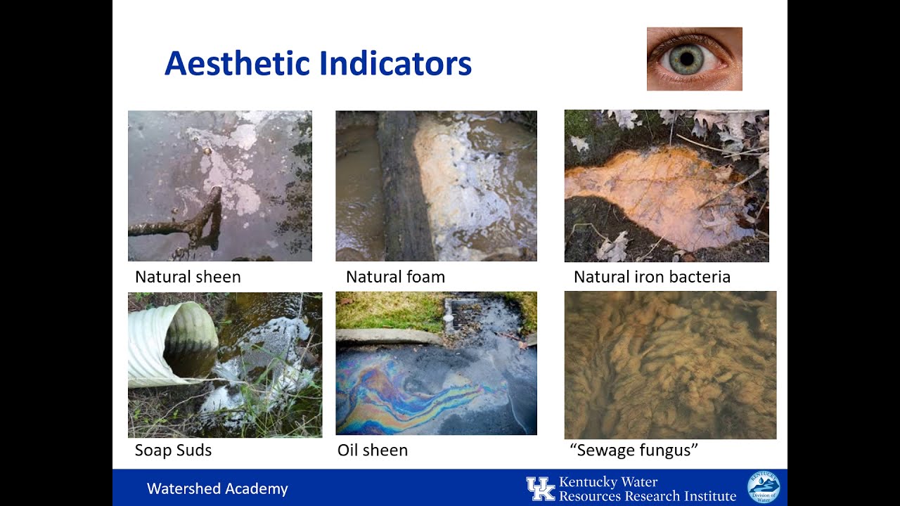 2.5 Physical and Chemical Water Quality Parameters