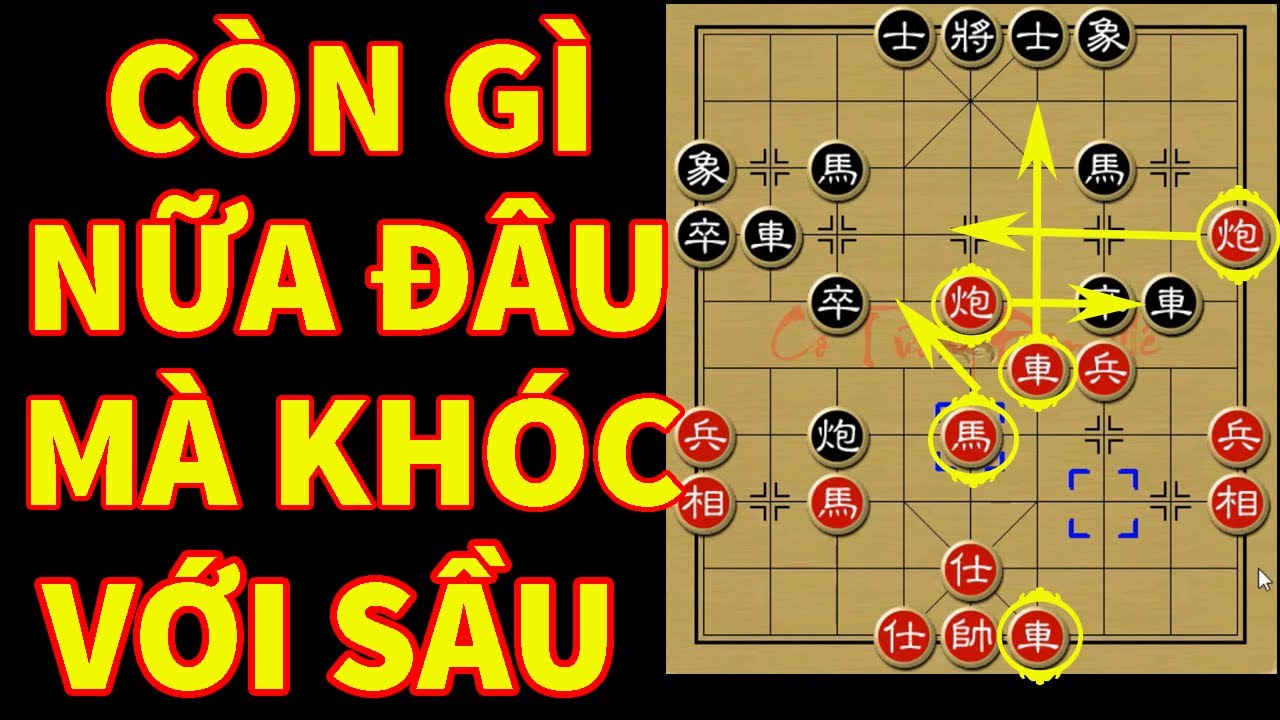 Vô Địch Cờ Tướng Việt Nam 2024: Mãnh Hổ Sa Cơ
