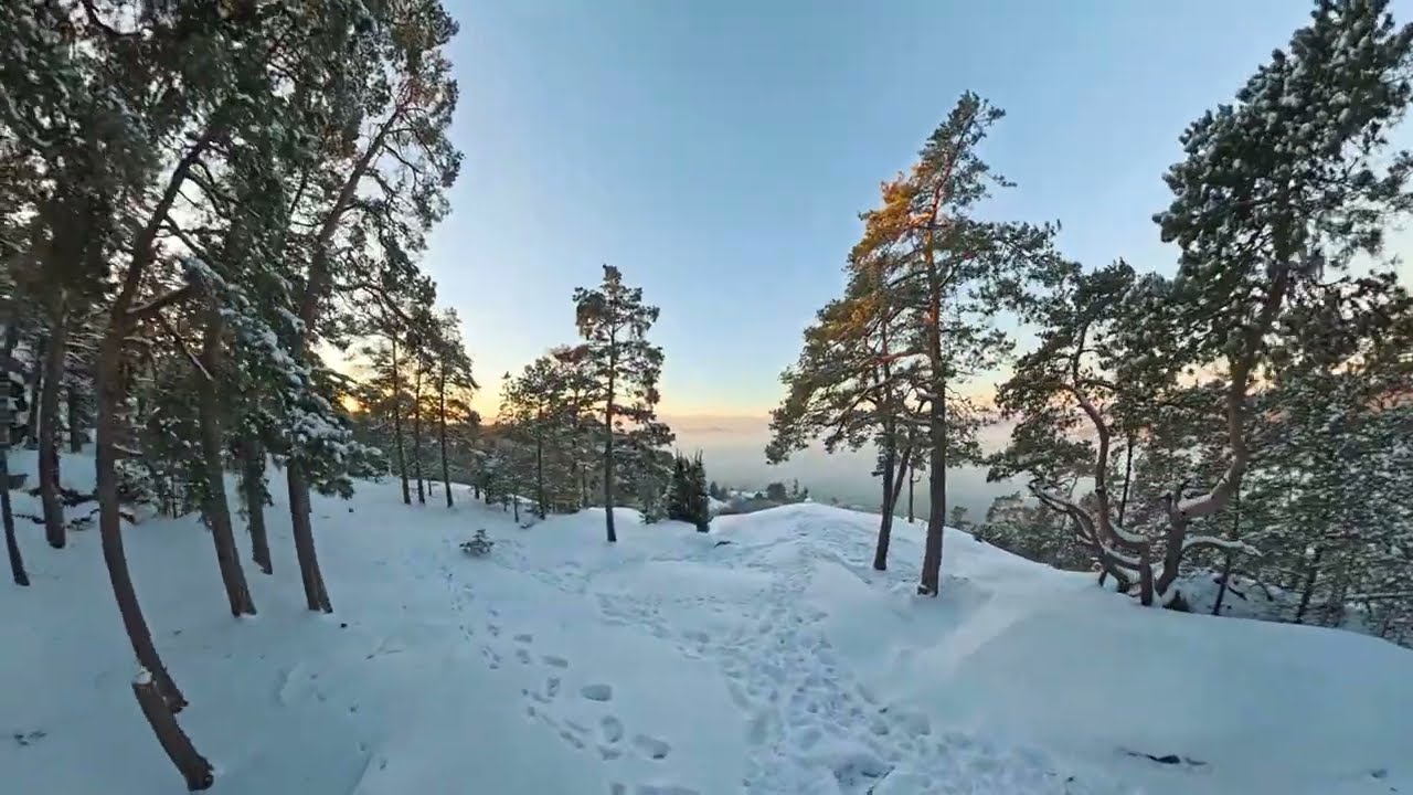 Slow Winter Walk in Finland | Maanpää, Hirvensalo | ASMR Snow Footsteps at −20°C (−4°F) | 4K 60FPS