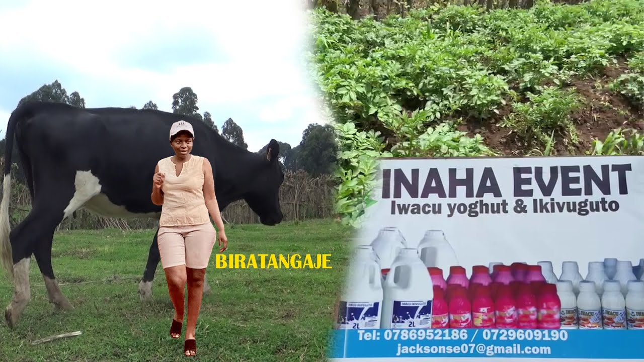 YATEGURAGA IBITARAMO BY'ABAHANZI NONE YIYEGURIYE GUHINGA NO KORORA- UBU ATUNGANYA IBIKOMOKA KU MATA.