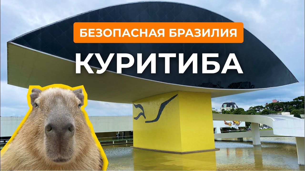 Куритиба - капибары, музеи и польская деревня