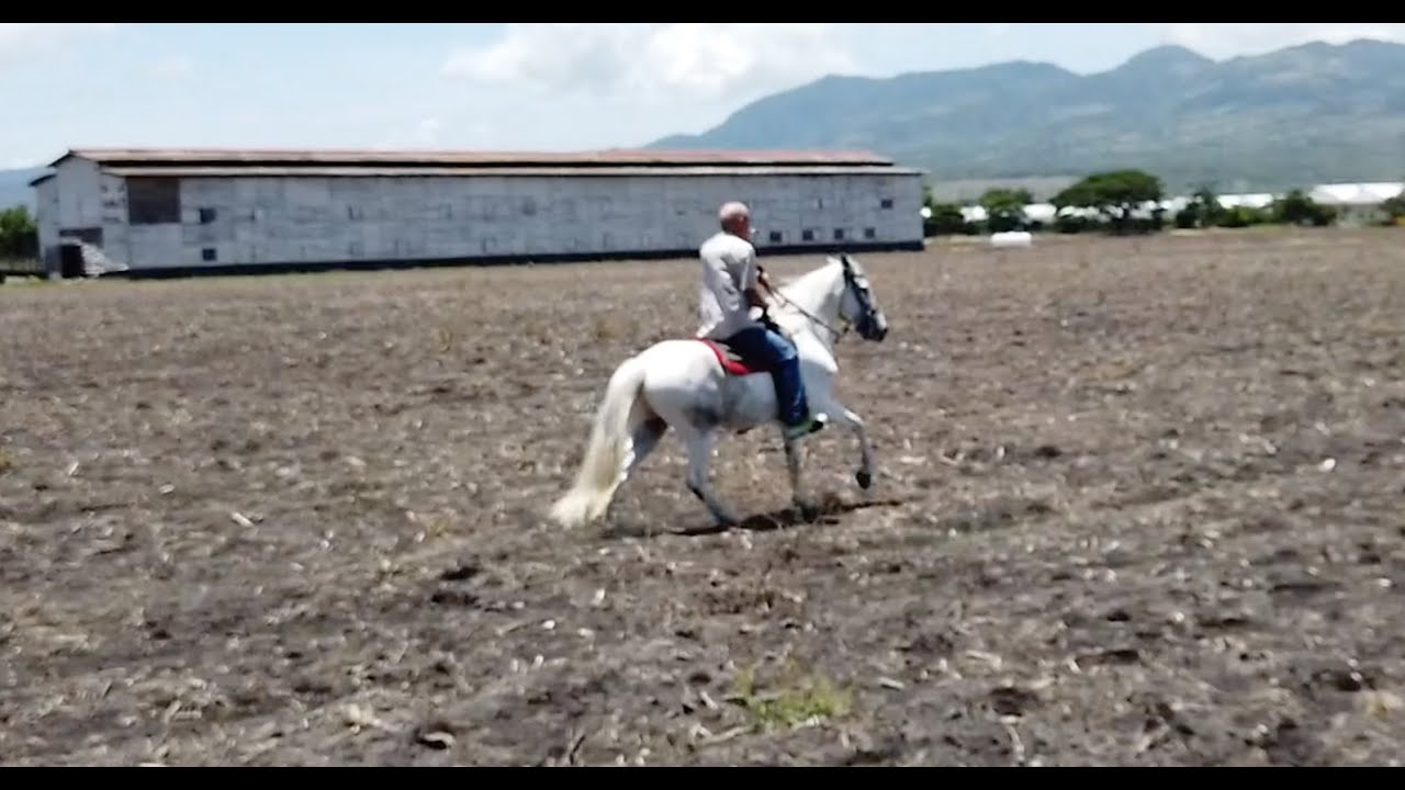 Once in a lifetime in Nicaragua
