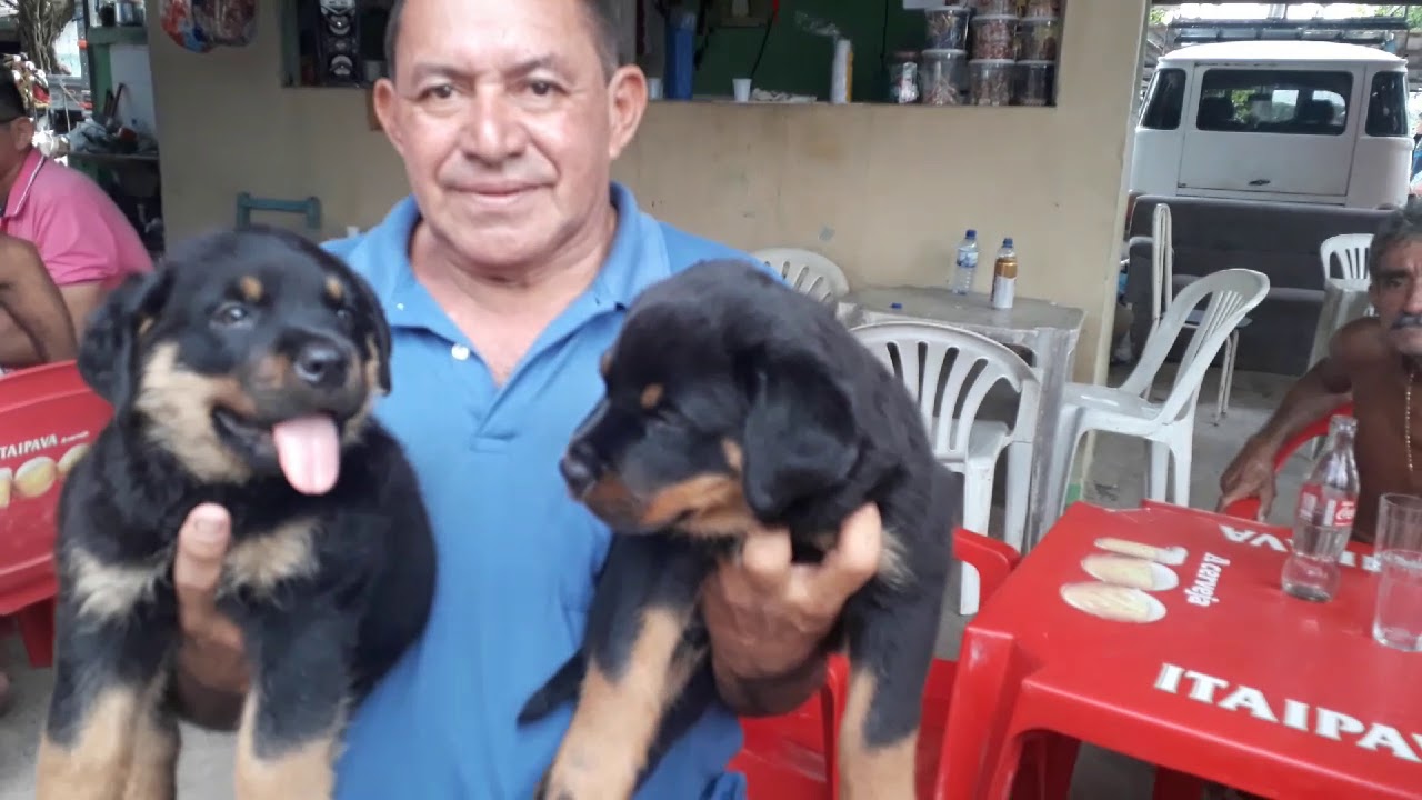 Vlog Feira Da Parangaba-30/12/18