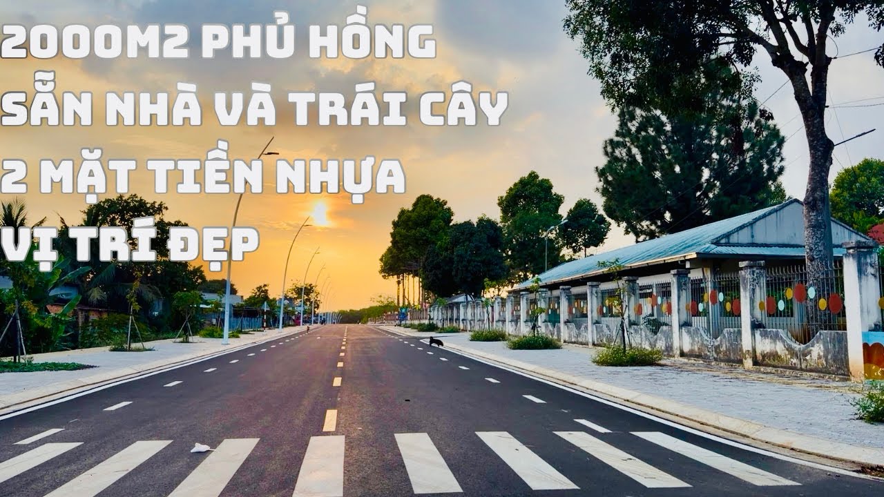 ☘️Căn Nhà Vườn 2 Mặt Tiền Nhựa 2000m2 Sẵn 60Thổ Cư Phủ Hồng Toàn Bộ Lên Max Thổ Cư Được Tiện Ích 2T5