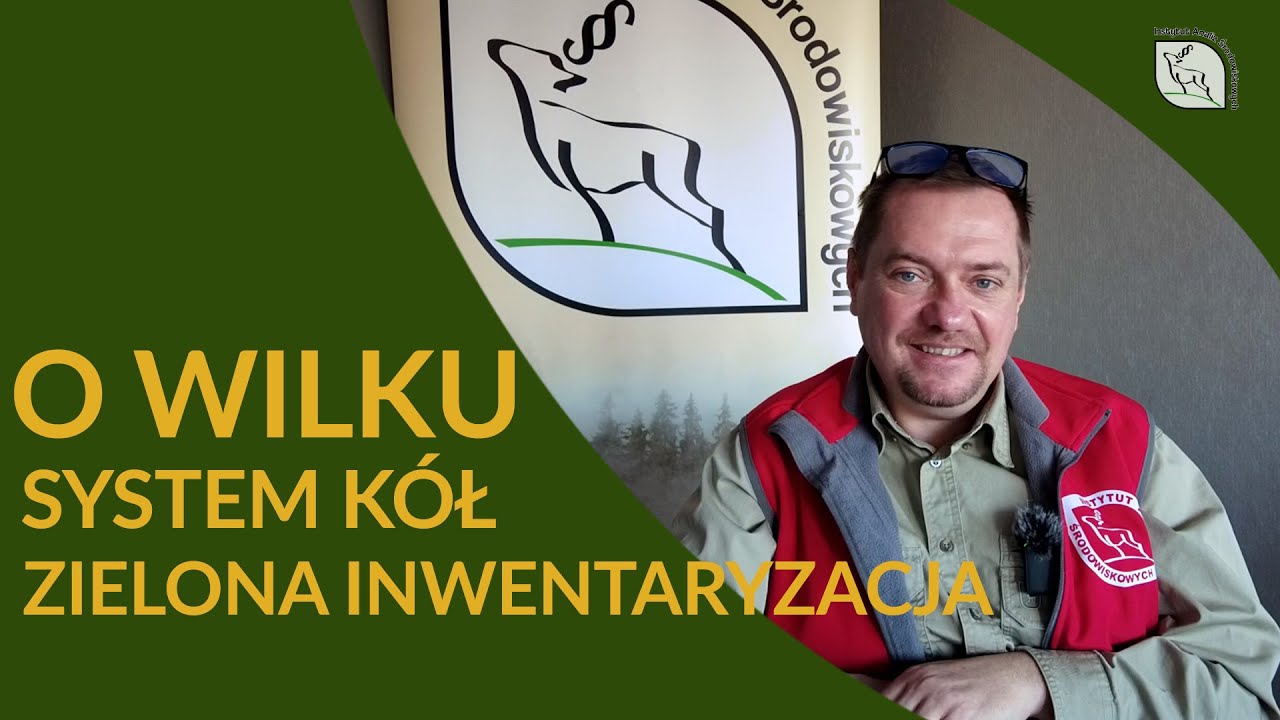 Inwentaryzacja Wilków z prof. Okarmą i systemy kół łowieckich.