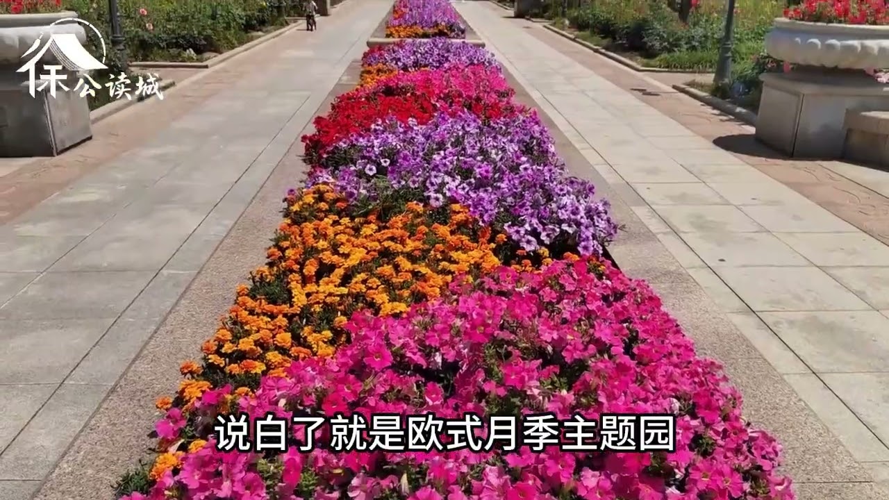 China Travel | 24分鐘實拍天津五大道，帶你逛遍65處民國名人故居【徐公讀城】