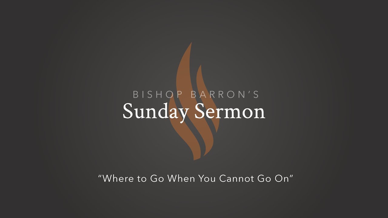Where to Go When You Cannot Go On — Bishop Barron’s Sunday Sermon