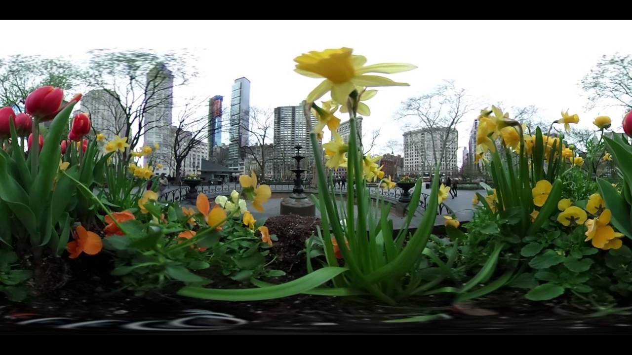 Ricoh Theta S sample 360 video