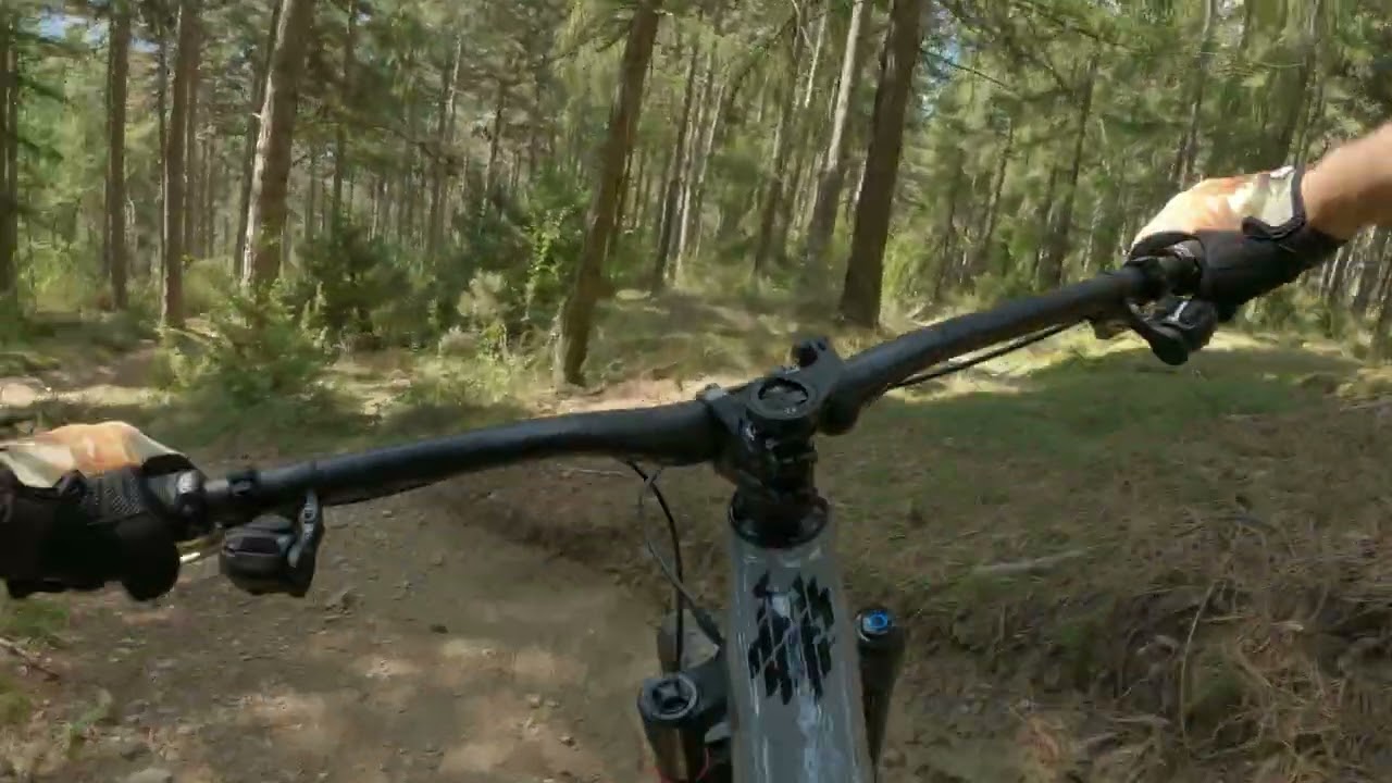 2025 Südtirol Propain Trail