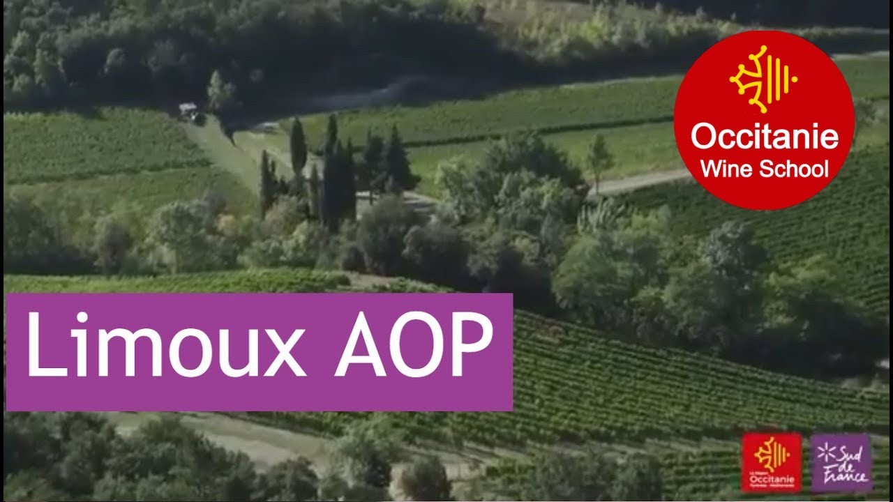 Mini masterclass #1: Limoux AOP – Occitanie Wine School