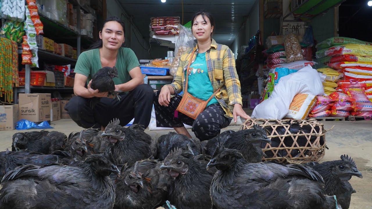 We are very happy that the first batch of chickens has been sold to the market, farm life