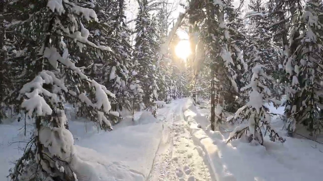 Outleap TITAN expert 2025 +Сказочный лес🌲