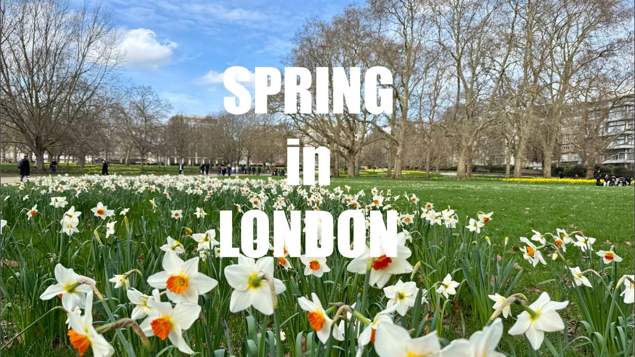Spring in London 🌿🌼