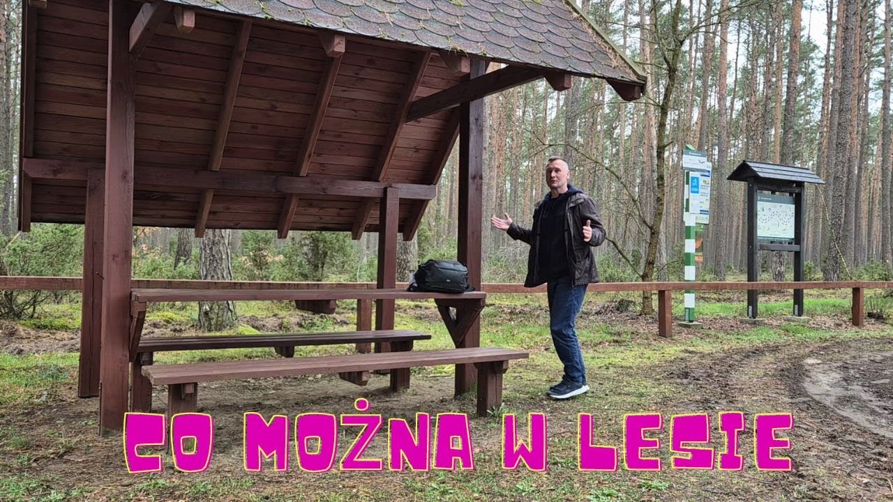 Sprawdziłem jakie obiekty i budynki można postawić w lesie prywatnym