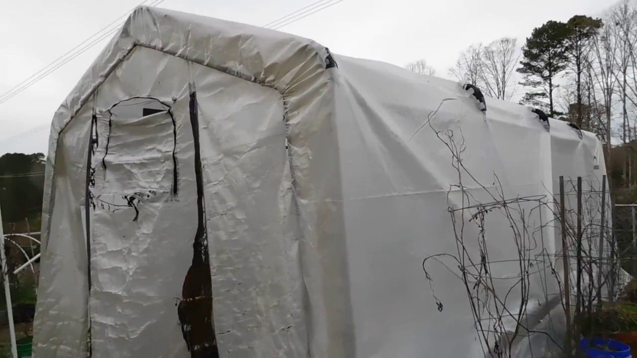 Review For Shelter Logic Greenhouses