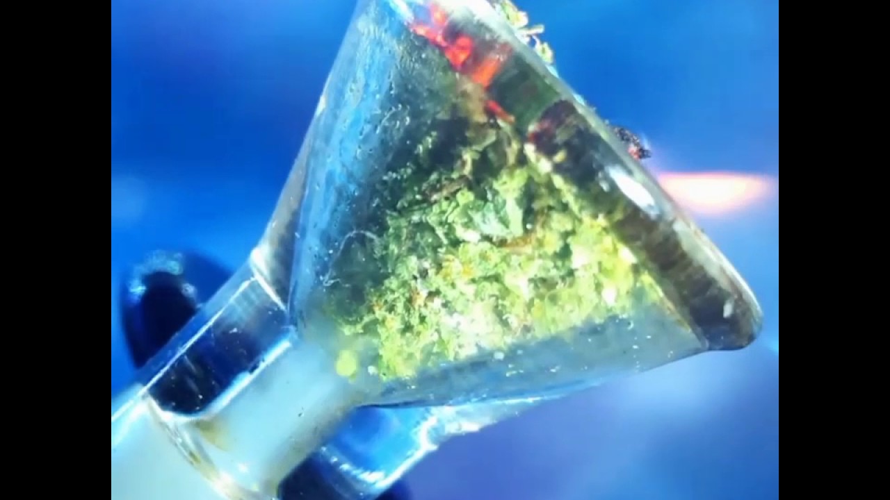 Bong rips