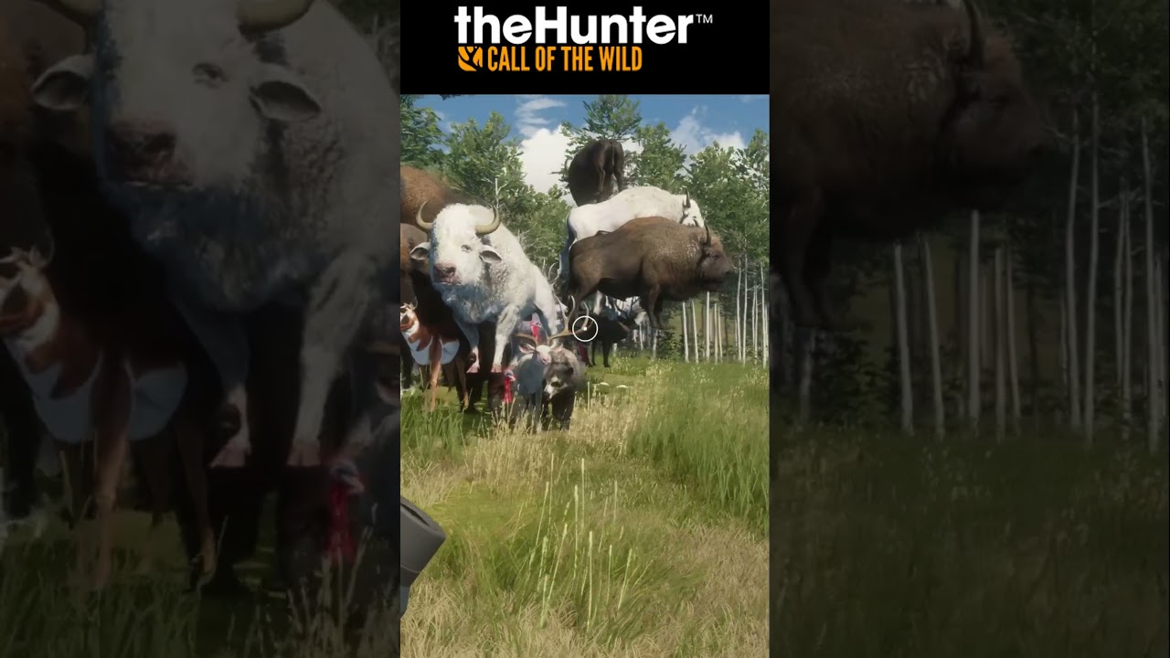 🔥 This MODDED SERVER Is INSANE 🔥 The Hunter COTW #shorts