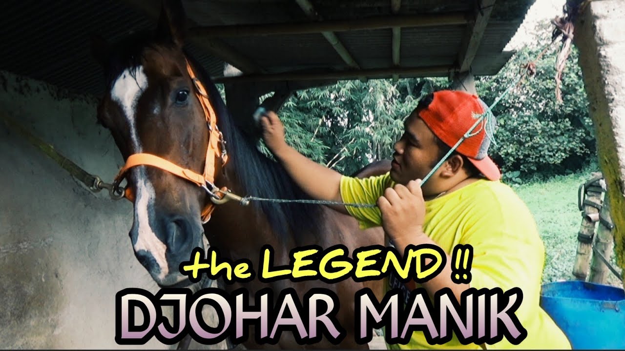 KONDISI TERKINI KUDA LEGEND DJOHAR MANIK ..