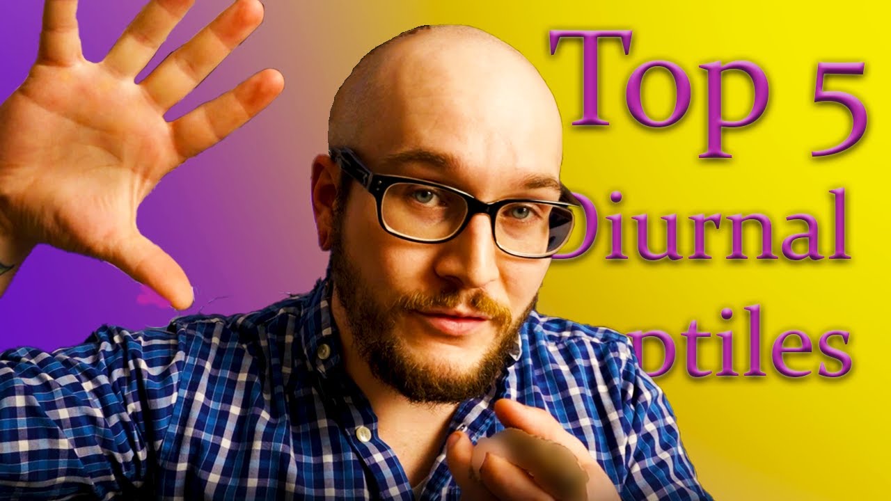 Top 5 Diurnal Reptiles